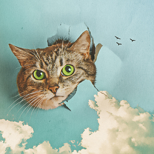 两根黑捧一前一后
