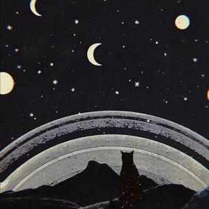 两根黑捧一前一后
