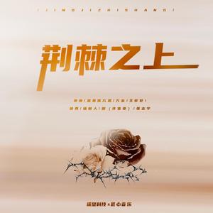 两根黑捧一前一后
