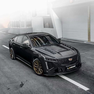 两根黑捧一前一后
