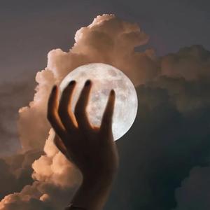 两根黑捧一前一后
